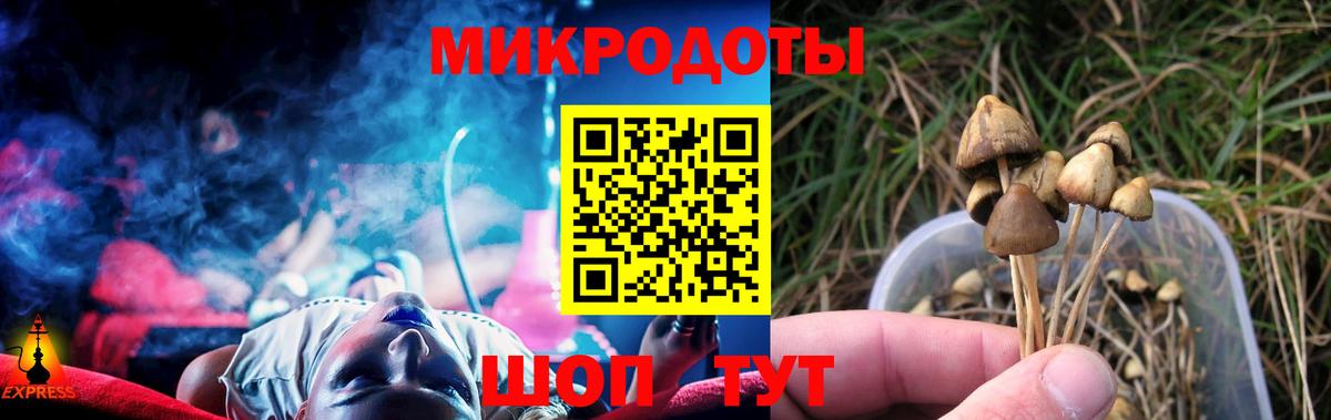 Северск  Галлюциногенные грибы GOLDEN TEACHER  купить наркотики цена  Вход с VPN 